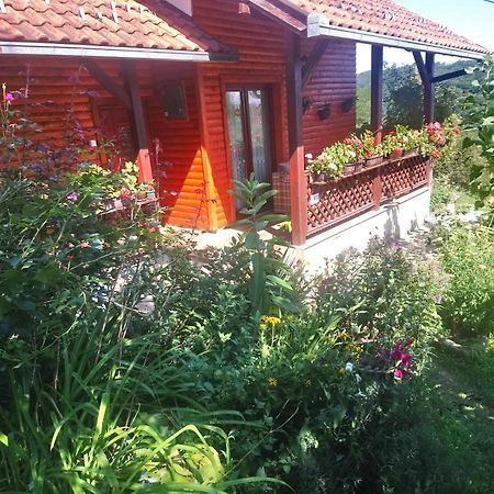 Guest House Little Heaven Užice Eksteriør billede