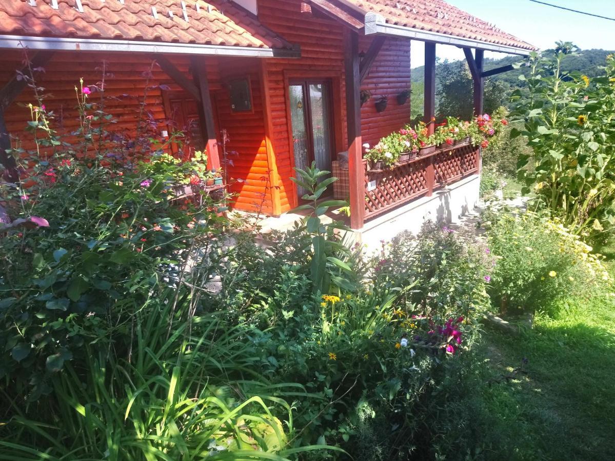 Guest House Little Heaven Užice Eksteriør billede